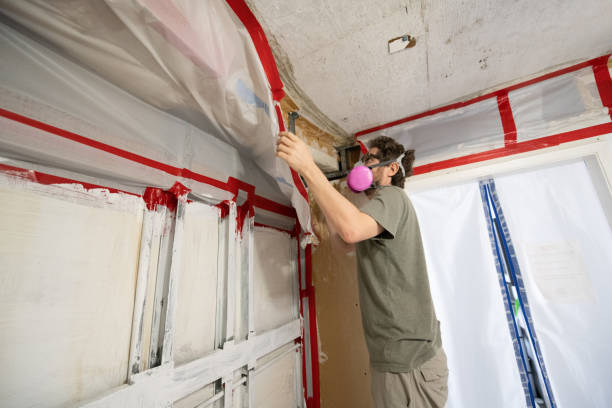 Best Commercial Mold Inspection  in Ampere North, NJ